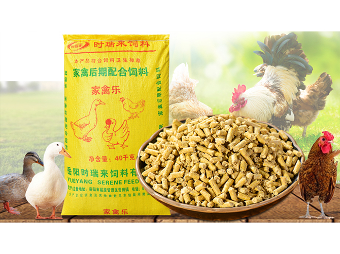 家禽后期配合飼料 家禽樂